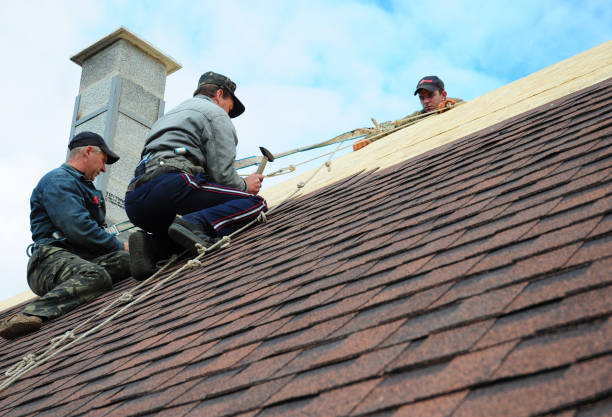 Best Roof Gutter Cleaning  in Fris, CO